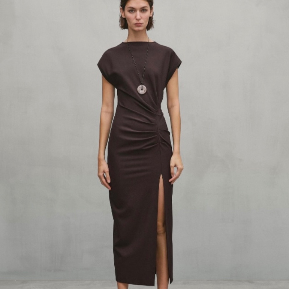 Massimo Dutti Midi Dress